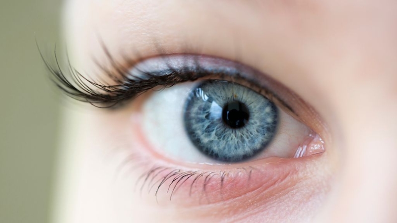 Gel Favisgel Vision Pharma có tác dụng gì cho mắt? Sử dụng ra sao? 1