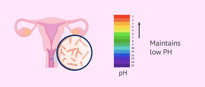 Gel phụ khoa: Giải pháp cho sức khỏe phụ nữ 5