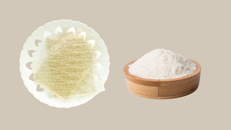 Khám phá những công dụng tuyệt vời của Gelatin đối với sức khỏe 1