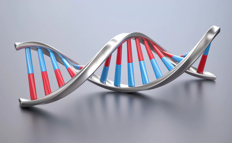 Giải mã gen là gì? Tạo sao cần giải mã gen cho bé 1