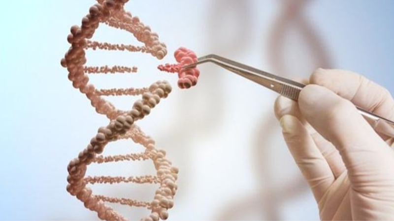 Gen ATM là gì? Những bệnh lý liên quan đến đột biến gen ATM 1