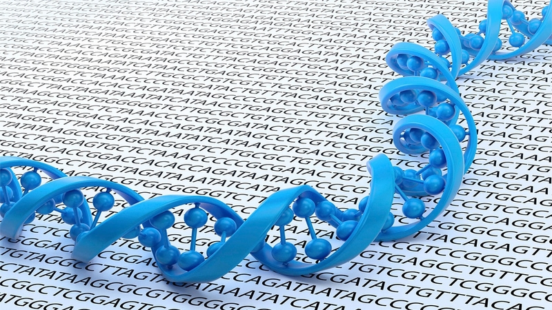 Gen lặn là gì? Tổng hợp các bệnh di truyền gen lặn nguy hiểm 1