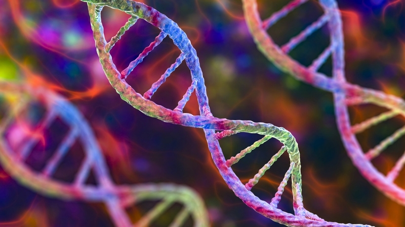 Gen người có thể dự đoán nguy cơ bị huyết áp cao không? 3