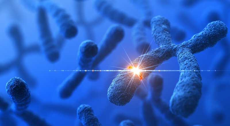 Gen trội là gì? Có tổng cộng bao nhiêu loại gen trội? 4