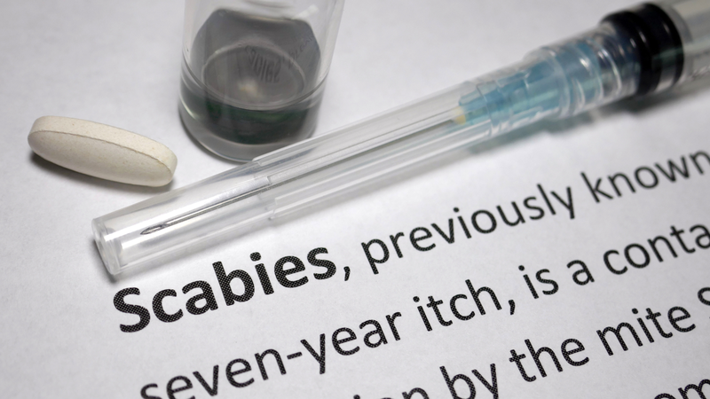 Nguyên nhân gây bệnh ghẻ bìu và đường lây nhiễm