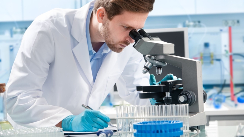 Ghẻ chàm hóa: Nguyên nhân, chẩn đoán và điều trị 3