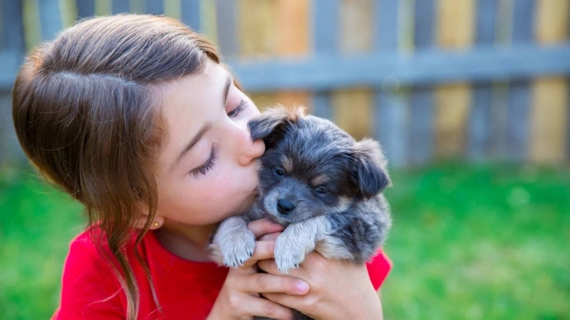 [Giải đáp thắc mắc] Ghẻ Demodex ở chó có lây sang người không? 3