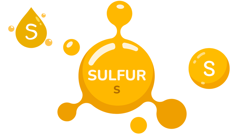 Ghẻ nước bôi gì?2