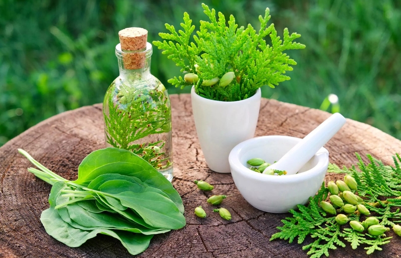 Ghẻ nước ở tay: Nguyên nhân, triệu chứng và phương pháp điều trị 3