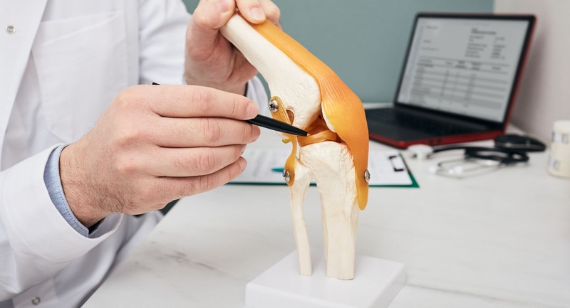 Ghép sụn chêm: Giải pháp hồi phục chấn thương khớp gối 1