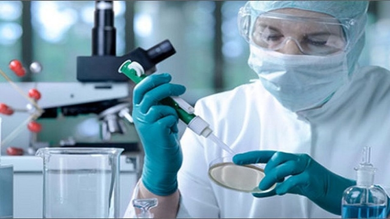 Ghép tế bào gốc trong điều trị u lympho không Hodgkin 1