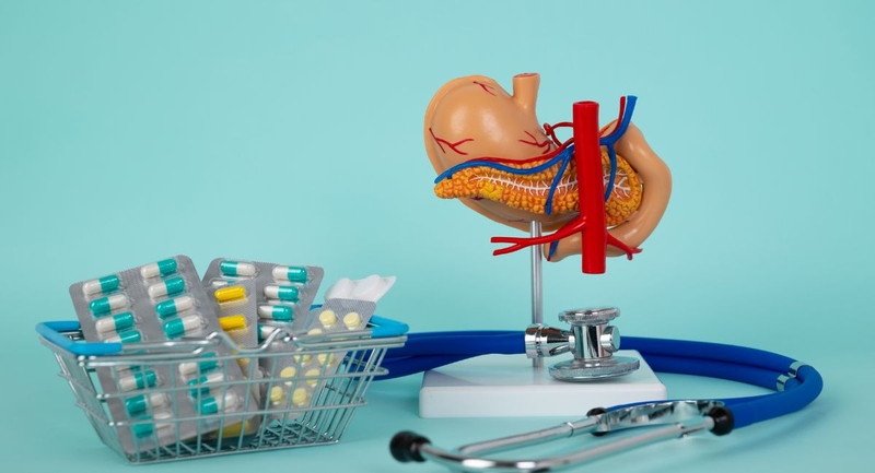 Ghép tụy là gì? Những đối tượng nào cần ghép tụy 2