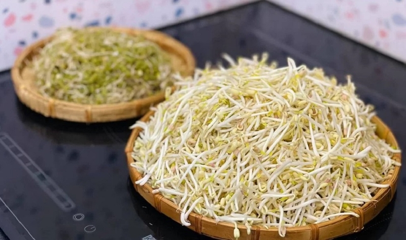 Giá đỗ bị nhớt có ăn được không và cách xử lý 1