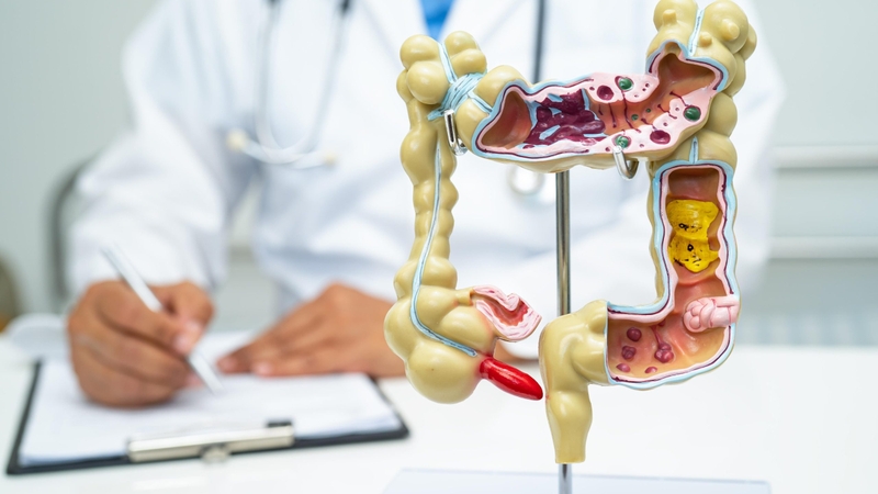 Giá nội soi dạ dày bệnh viện 175 chi tiết cho bệnh nhân tham khảo 1