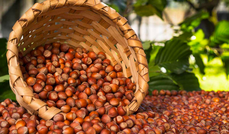 Giá trị dinh dưỡng của các loại hạt và cách ăn đúng 2