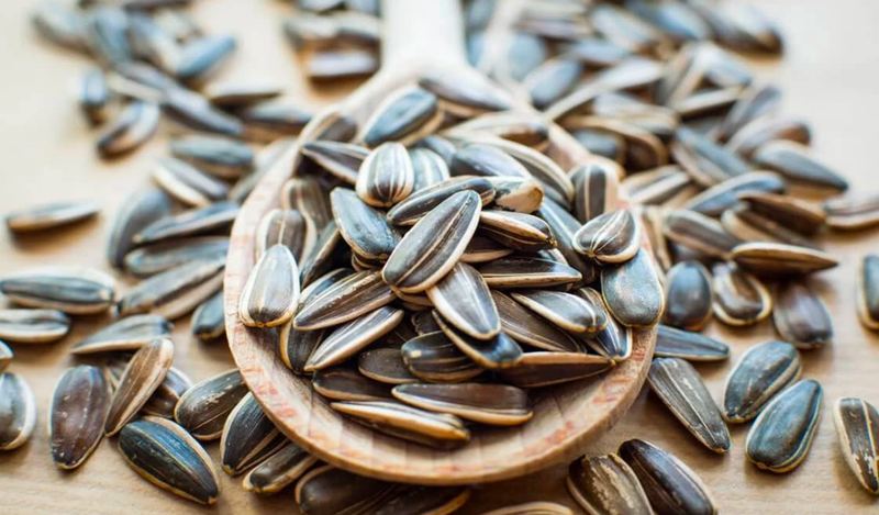 Giá trị dinh dưỡng của các loại hạt và cách ăn đúng 3