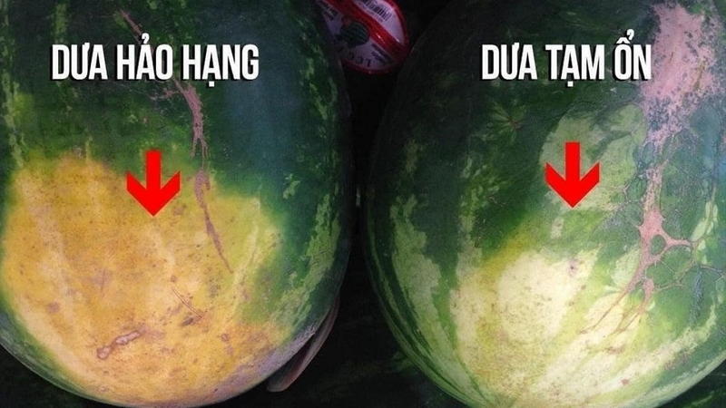 Giá trị dinh dưỡng của dưa hấu là gì? Cách chọn dưa hấu ngon 3