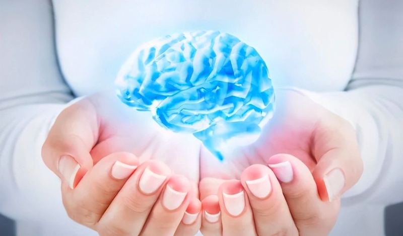 Giá trị dinh dưỡng của hạt dẻ và tác dụng đối với sức khoẻ 3