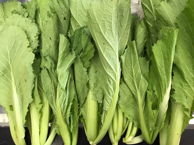 Giá trị dinh dưỡng của rau cải đắng là gì? Bầu 3 tháng đầu ăn rau cải đắng được không? 1