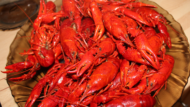 Giá trị dinh dưỡng của tôm hùm đất​ 2