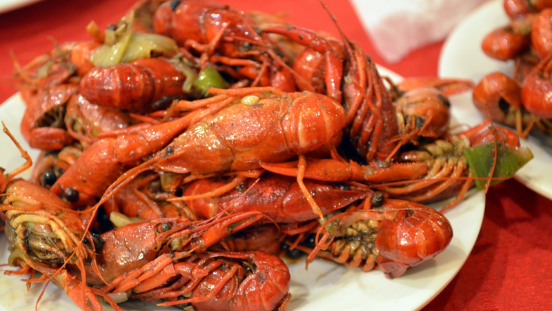 Giá trị dinh dưỡng của tôm hùm đất​ 3