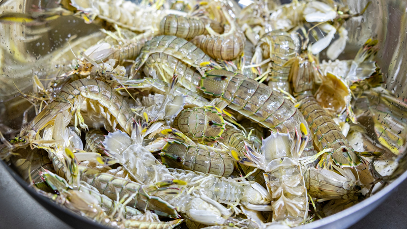 Giá trị dinh dưỡng của tôm tít​ là gì? 1