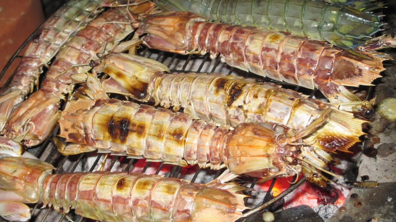 Giá trị dinh dưỡng của tôm tít​ là gì? 4