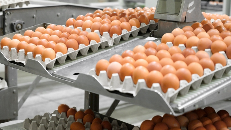 Dù trứng giàu dinh dưỡng, nhưng việc ăn quá nhiều có thể làm tăng lượng cholesterol nạp vào cơ thể