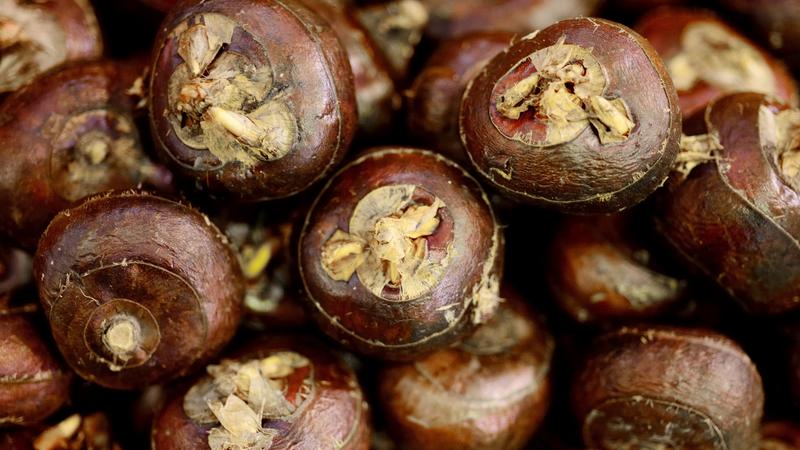 Giá trị dinh dưỡng và tác dụng của củ năng đối với sức khỏe 5