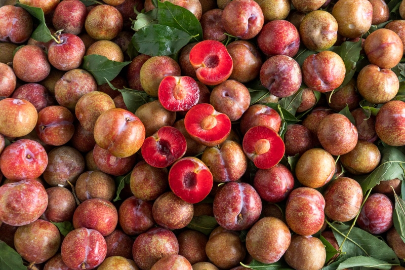 Giải đáp thắc mắc: Ăn mận có nóng không? Những lưu ý khi ăn mận có thể bạn chưa biết 3