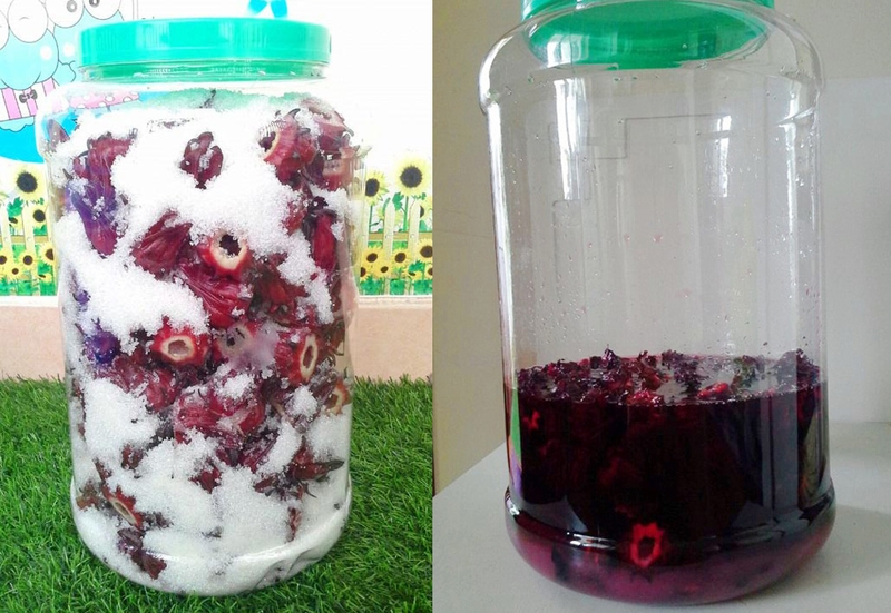 Giải đáp: Atiso ngâm đường để được bao lâu? Mách bạn cách bảo quản atiso ngâm đường chuẩn chỉnh 4