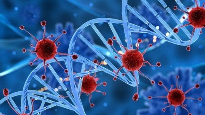 Theo nghiên cứu, tiết canh không có thành phần hỗ trợ chống ung thư