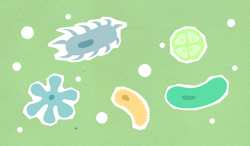 Bệnh chốc lở có lây không?