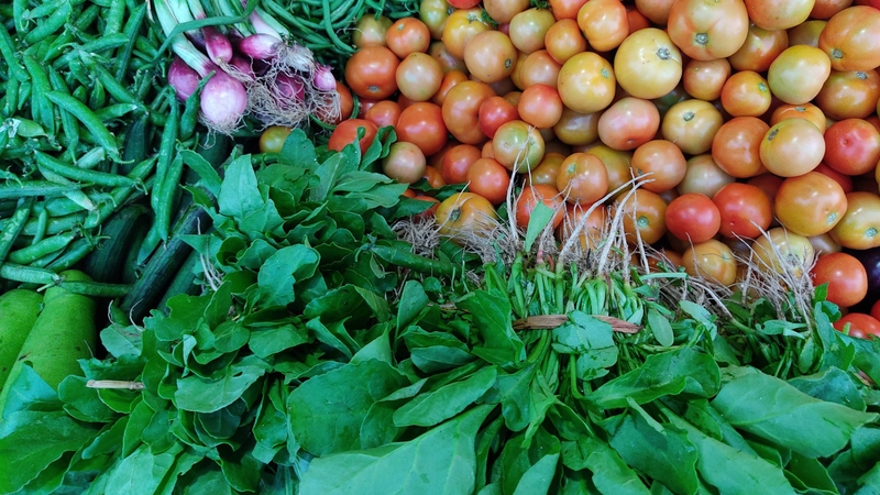 Người bệnh tiểu đường cần chú ý ăn nhiều rau xanh và chất xơ