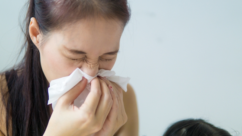 Viêm mũi dị ứng có chữa được không?