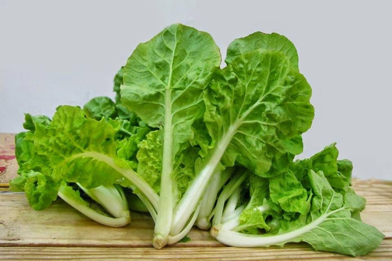 Giải đáp: Cải dún ăn sống được không?