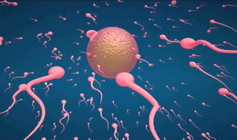 Số lượng tinh trùng ít hơn 15 triệu/ml tinh dịch