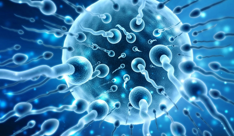 Chất nhờn của nam giới có tinh trùng không?