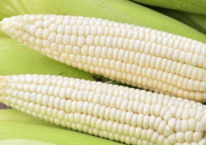 Giải đáp chi tiết thắc mắc xăm môi có được ăn ngô nếp không cho chị em quan tâm1