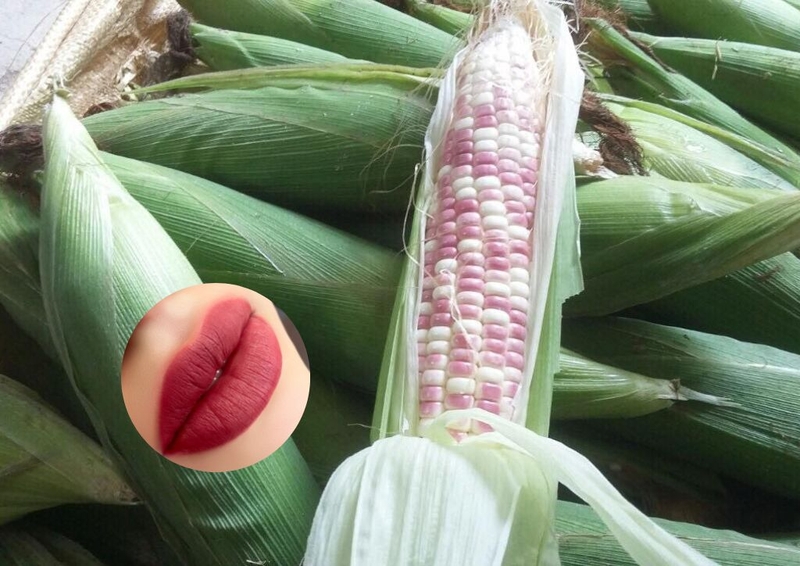 Giải đáp chi tiết thắc mắc xăm môi có được ăn ngô nếp không cho chị em quan tâm2