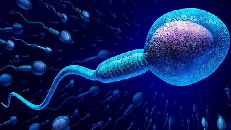 Nguyên nhân khiến nam giới suy giảm tinh trùng