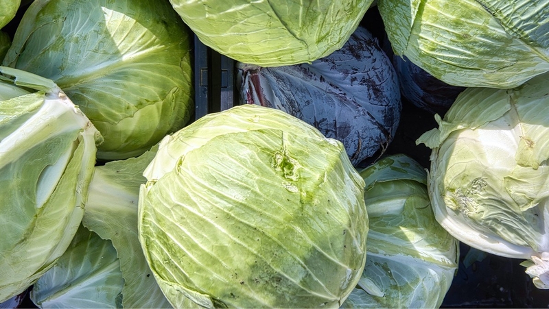 Giải đáp: Đau dạ dày có ăn được bắp cải không? 3