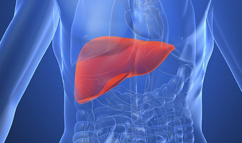 Giải đáp: Gan thải độc qua da có gây mụn không? 1