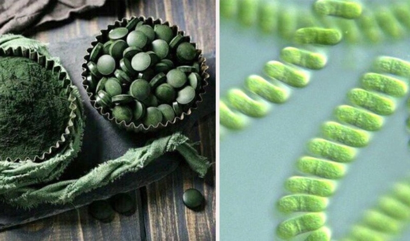 Giải đáp: Gan thải độc qua da có gây mụn không? 2