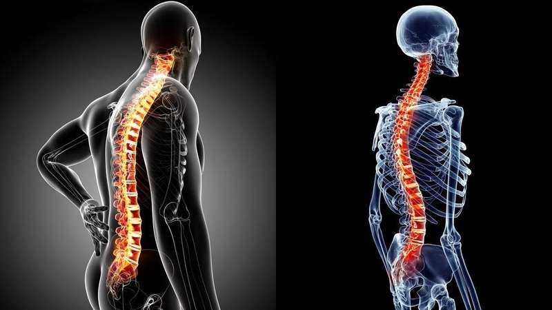 Gãy đốt sống lưng L1 có nguy hiểm không là thắc mắc của nhiều người sau chấn thương cột sống
