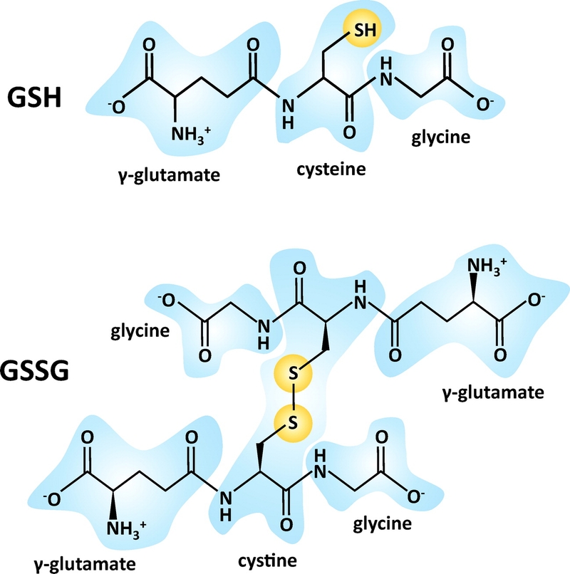 Giải đáp: Glutathione mẹ cho con bú uống được không? 2