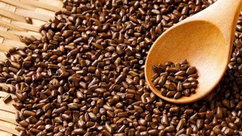 Giải đáp: Hạt muồng có tác dụng gì? 2