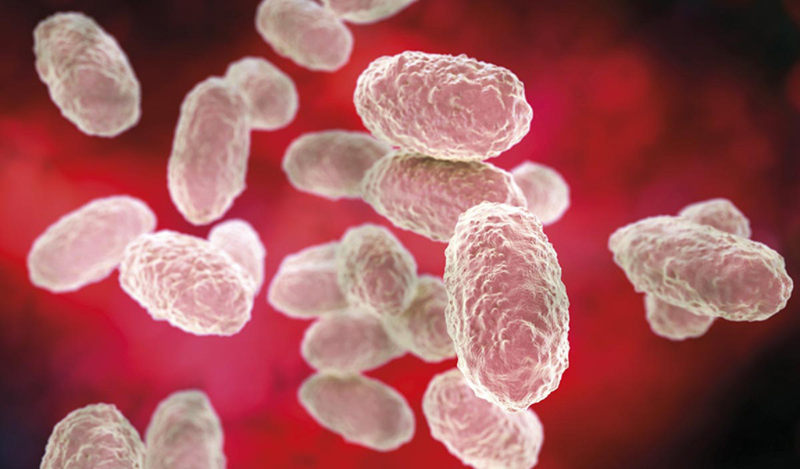 Thế nào là bệnh ho gà?