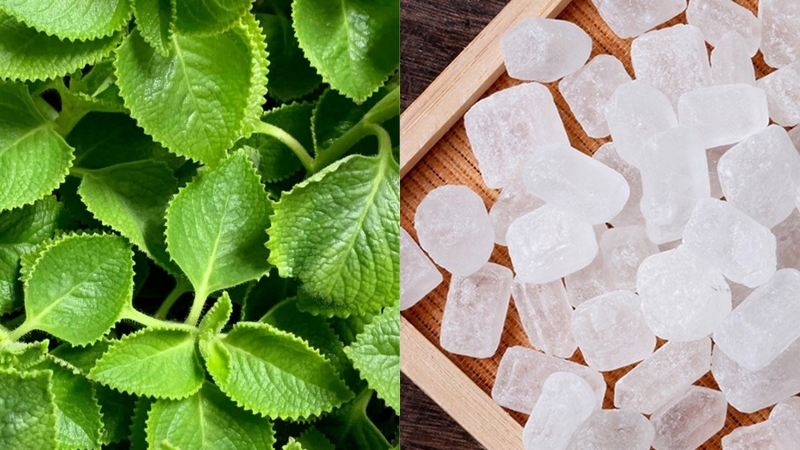 Giải đáp: Siro úng chanh hấp đường phèn để được bao lâu? 2