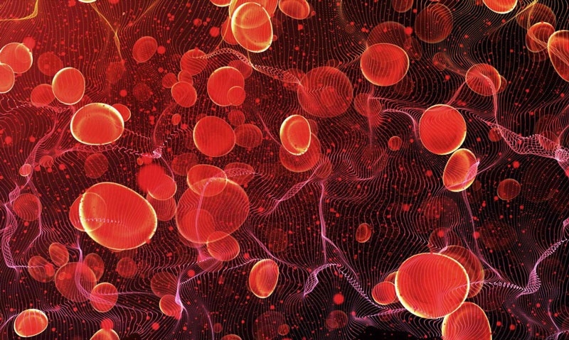 Giải đáp: Lượng đường trong máu bao nhiêu được coi là bình thường? 2